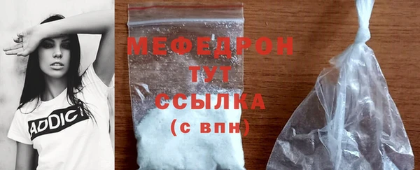 прущие грибы Елабуга