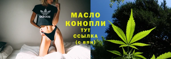 Альфа ПВП Ельня
