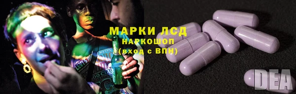 прущие грибы Елабуга