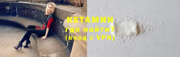 прущие грибы Елабуга
