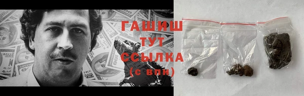 прущие грибы Елабуга