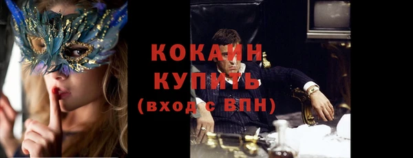 крисы Елизово