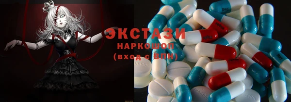 прущие грибы Елабуга