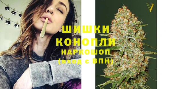 крисы Елизово