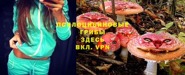 прущие грибы Елабуга