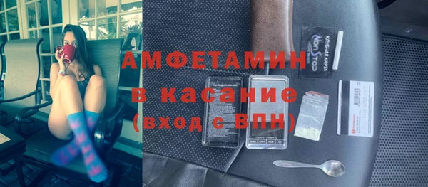 прущие грибы Елабуга
