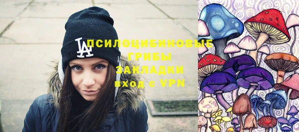 Альфа ПВП Ельня