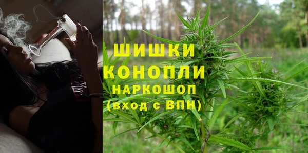 крисы Елизово