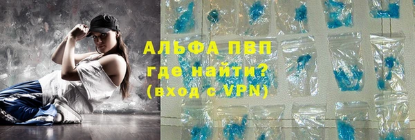 прущие грибы Елабуга