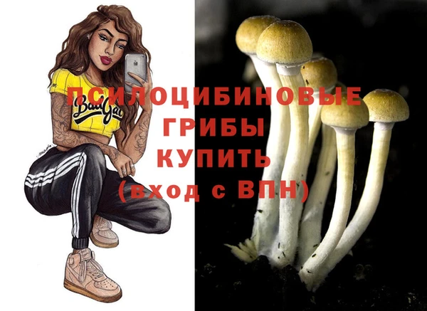 крисы Елизово