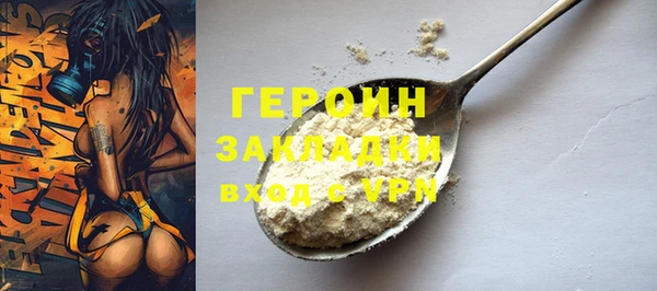 прущие грибы Елабуга