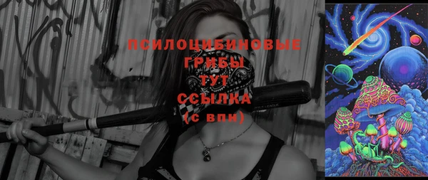 крисы Елизово