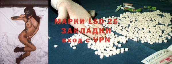 прущие грибы Елабуга