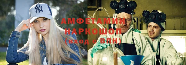 прущие грибы Елабуга