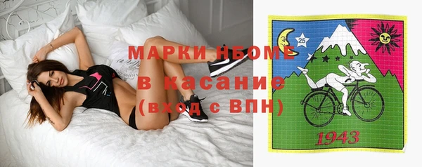 прущие грибы Елабуга