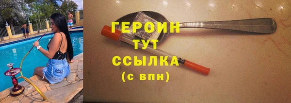 прущие грибы Елабуга