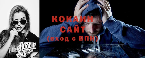 прущие грибы Елабуга